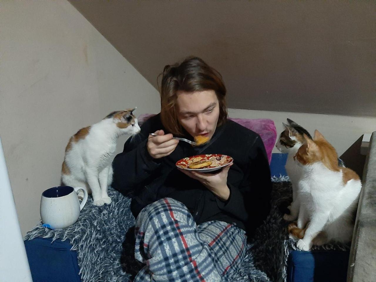 Everyday Cat Hostel Batoumi Extérieur photo